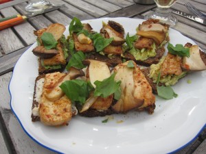 Pilze&Tofu auf getoastetem Avocado/Sojanäse-Volkornbrot