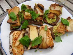 Pilze&Tofu auf getoastetem Avocado/Sojanäse-Volkornbrot